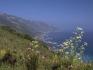 The view from trail